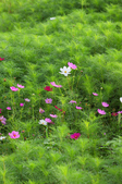 Enlarge photo 43