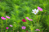 Enlarge photo 45
