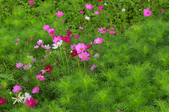 Enlarge photo 46