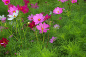 Enlarge photo 47