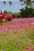 Enlarge photo 48