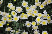 Enlarge photo 52