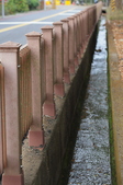 Enlarge photo 54