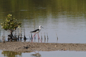 Enlarge photo 13