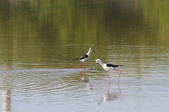 Enlarge photo 18