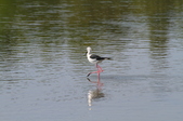 Enlarge photo 31