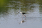 Enlarge photo 32