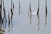 Enlarge photo 38