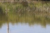 Enlarge photo 39