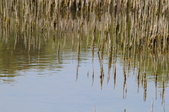 Enlarge photo 40