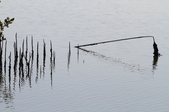 Enlarge photo 41