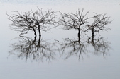 Enlarge photo 42