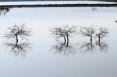 Enlarge photo 43