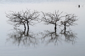 Enlarge photo 44