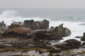 Enlarge photo 14