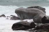 Enlarge photo 16