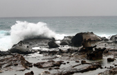 Enlarge photo 17