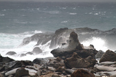 Enlarge photo 25