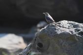 Enlarge photo 34