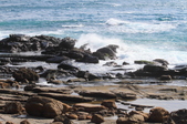 Enlarge photo 40