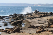 Enlarge photo 42