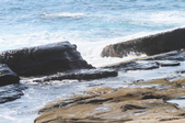 Enlarge photo 43
