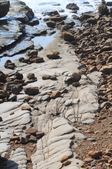 Enlarge photo 44