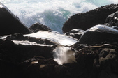 Enlarge photo 45