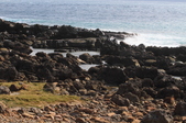 Enlarge photo 49