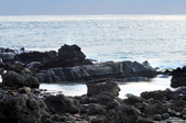 Enlarge photo 50