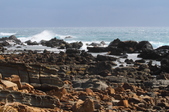 Enlarge photo 51
