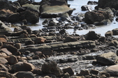 Enlarge photo 52