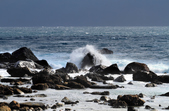 Enlarge photo 55
