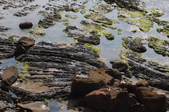 Enlarge photo 56
