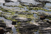 Enlarge photo 57