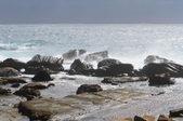 Enlarge photo 58
