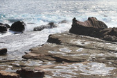 Enlarge photo 59