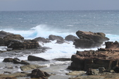 Enlarge photo 67