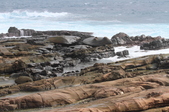 Enlarge photo 69