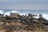 Enlarge photo 71