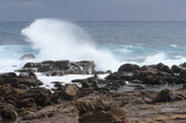 Enlarge photo 75