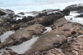 Enlarge photo 80
