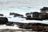 Enlarge photo 84
