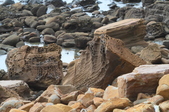 Enlarge photo 86