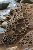 Enlarge photo 88