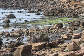 Enlarge photo 92