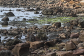 Enlarge photo 93