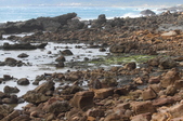 Enlarge photo 94