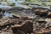 Enlarge photo 95