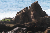 Enlarge photo 97